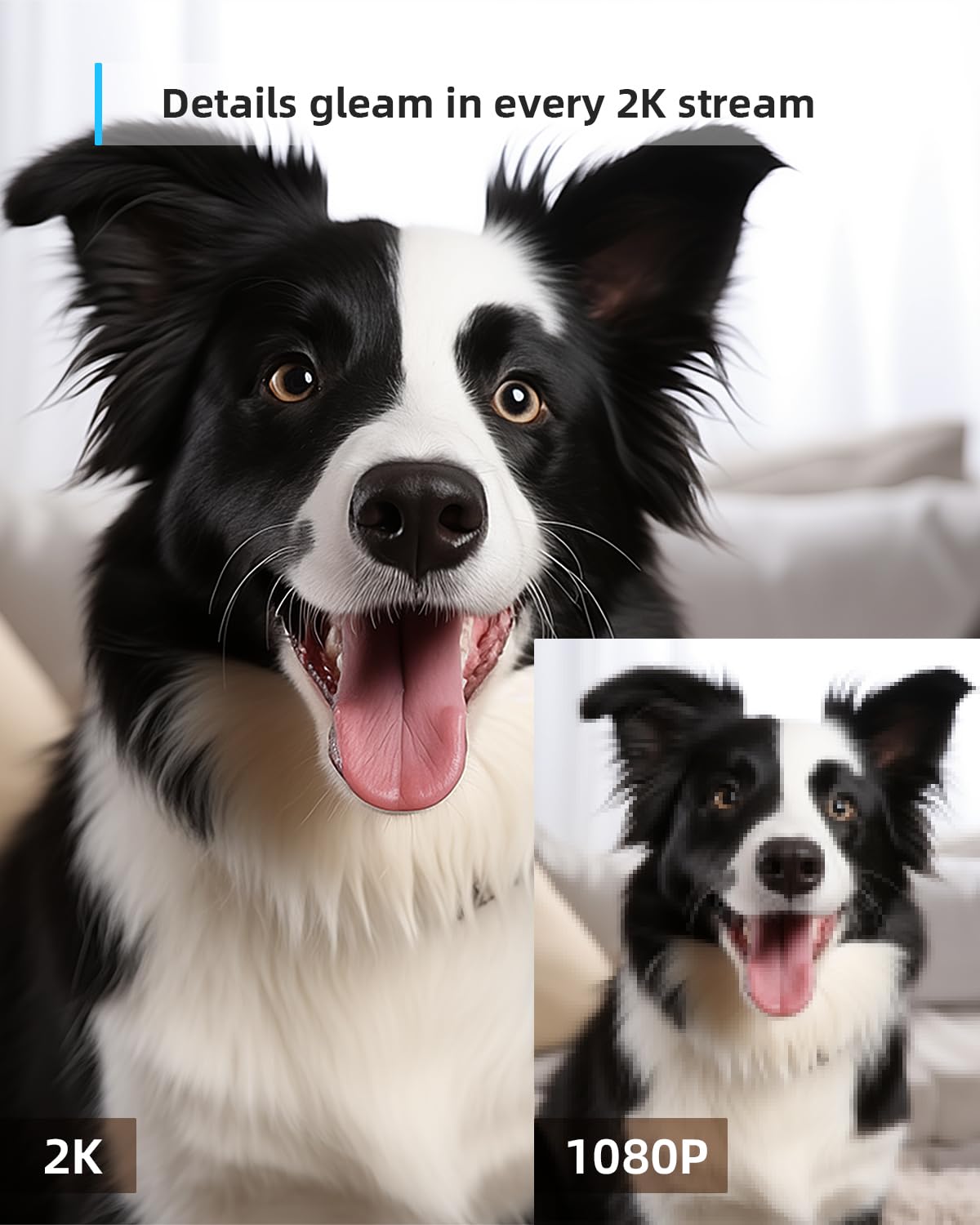 Blurams 2K Pet Camera – Indoor, 360° Security, Night Vision, Two-Way Audio